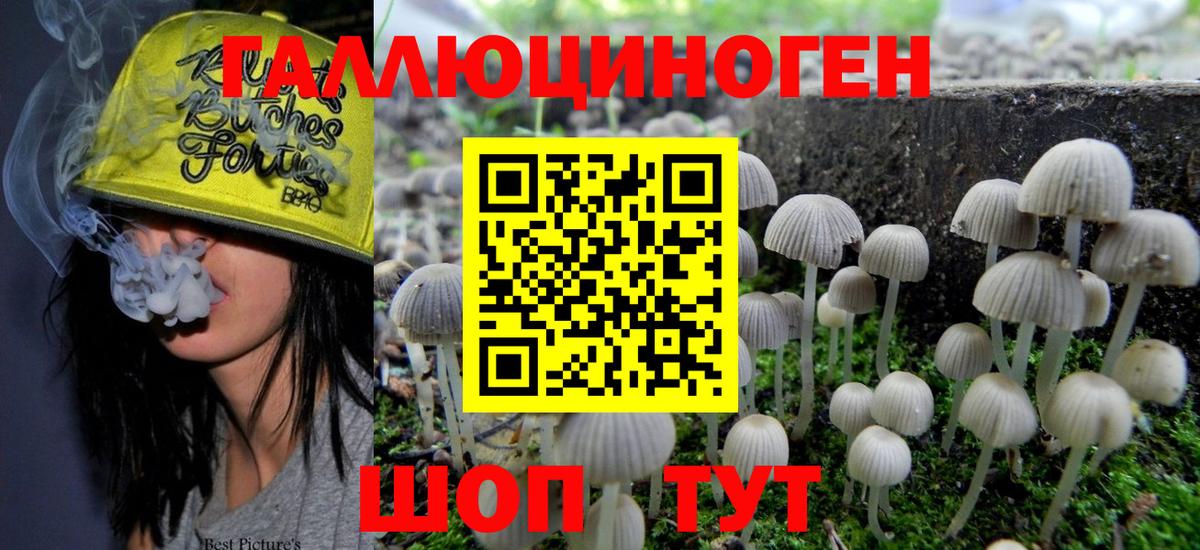 Галлюциногенные грибы Psilocybe Донецк